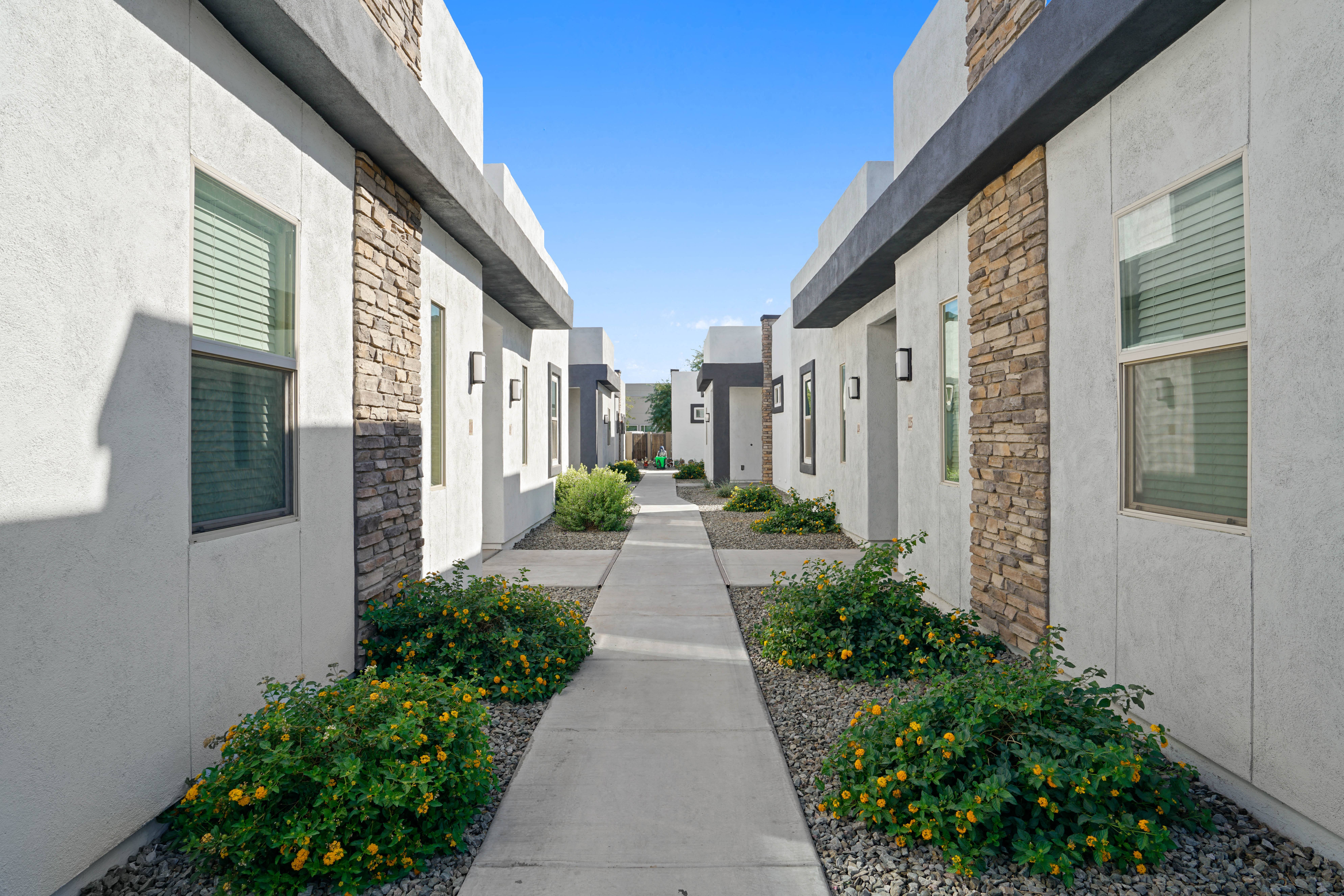 an empty walkway between two apartment buildings with flowering plants at Olive Queen Creek Apartments, Arizona, 85142
